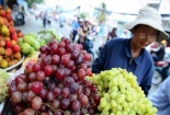 Hoa quả Trung Quốc nhiễm độc: Việt Nam gửi thông báo, Trung Quốc không hồi âm
